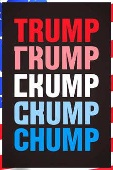 Laminated Trump To Chump Transformation Funny Poster Dry Erase Sign 24x36
