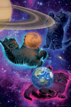 Laminated Cosmic Kittens Floating Outer Space by Vincent Hie Fantasy Cat Poster Funny Wall Posters Kitten Posters for Wall Motivational Cat Poster Funny Cat Poster Poster Dry Erase Sign 24x36