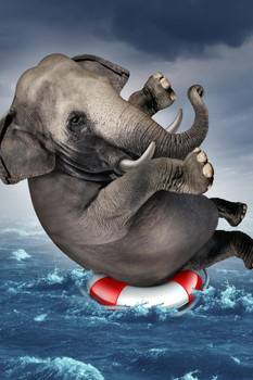Laminated Elephant Floating In Life Ring Buoy Surviving Adversity During Storm Funny Illustration Poster Dry Erase Sign 24x36