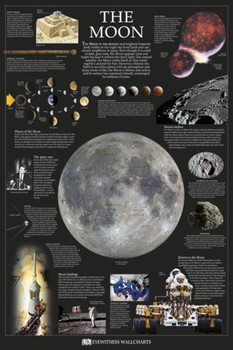 Moon Dorling Kindersley Cool Wall Decor Art Print Poster 24x36