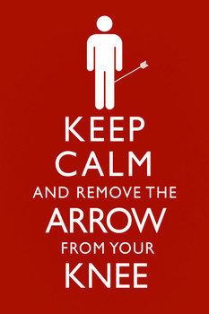 Laminated Keep Calm And Remove The Arrow From Your Knee Funny Poster Dry Erase Wall Art 24x36