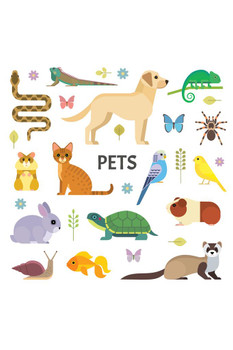 Laminated Household Pets Dog Cat Animal Collection Drawing Illustration Preschool Elementary School Educational Classroom Teacher Learning Homeschool Display Supplies Poster Dry Erase Wall Art 24x36