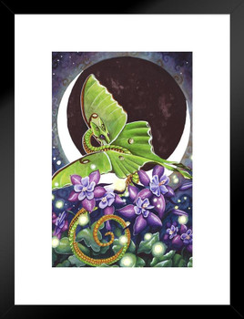 Luna Lights Dragon Green Moth by Carla Morrow Fantasy Cool Wall Decor Matted Framed Wall Decor Art Print 20x26