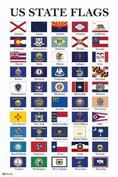 Usa State Flags Classroom Chart White State Flag Patriotic Posters American Flag Poster Of Flags For Wall Flags Poster Us Cool Wall Art Stretched Canvas Art Wall Decor 16x24