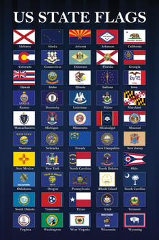 Usa State Flags Classroom Chart Blue State Flag Patriotic Posters American Flag Poster Of Flags For Wall Flags Poster Us Cool Wall Art Stretched Canvas Art Wall Decor 16x24