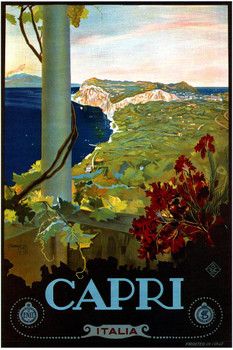 Laminated Visit Capri Italy Ocean Historic Coastal Town City Vintage Illustration Travel Poster Dry Erase Wall Art 24x36
