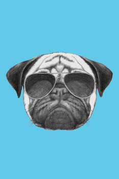 Cool Pug Dog With Sunglasses Puppy Posters For Wall Funny Dog Wall Art Dog Wall Decor Puppy Posters For Kids Bedroom Animal Wall Poster Cute Animal Posters Thick Paper Sign Print Picture 8x12