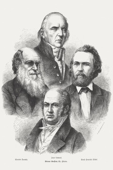 Proponents of Darwinism Charles Darwin 1873 Engraving Thick Paper Sign Print Picture 8x12