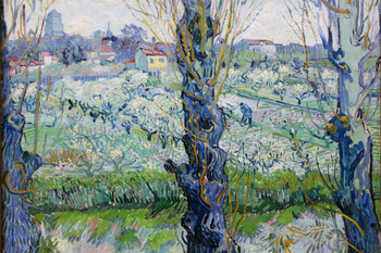 Vincent Van Gogh View Of Arles Flowering Orchards 1889 Post Impressionist Painting Thick Paper Sign Print Picture 8x12