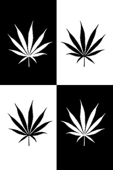 Marijuana Four Weed Pot Cannabis Joint Blunt Bong Leaves Pop Art Black And White Thick Paper Sign Print Picture 8x12