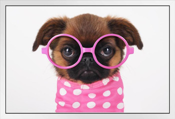 Funny Cute Puppy in Hot Pink Sunglasses Puppy Posters For Wall Funny Dog Wall Art Dog Wall Decor Puppy Posters For Kids Bedroom Animal Wall Poster Cute Animal White Wood Framed Art Poster 20x14