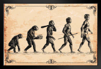 Human Evolution Classic Ape Walking Upright Evolving Into Human Man Vintage Illustration Science Educational Classroom Decoration White Wood Framed Art Poster 20x14