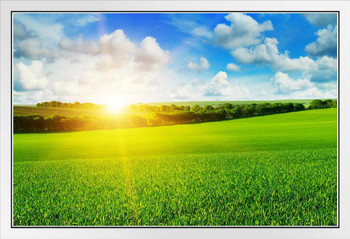 Farm Wheat Field Sunrise Bright Blue Sky Landscape Photo White Wood Framed Poster 20x14