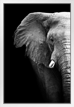 Black and White Elephant Partial Monochrome Art African Elephant Wall Art Elephant Posters For Wall Elephant Art Print Elephants Wall Decor Photo Elephant Tusk White Wood Framed Art Poster 14x20