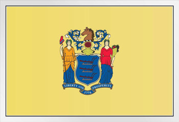 New Jersey State Flag White Wood Framed Poster 14x20