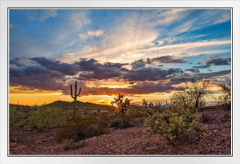 Colorful Sonoran Desert Sunset Saguaro Cactus Photo Photograph Beach Palm Landscape Pictures Ocean Scenic Tropical Nature Photography Paradise White Wood Framed Art Poster 20x14