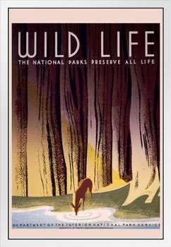 National Parks Wild Life Nature Retro Vintage WPA Art Project White Wood Framed Poster 14x20