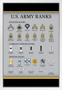 United States Army Rank Chart Reference Enlisted Officer NCO Guide American Military Uniform Support Troops Soldier Veterans Man Cave White Wood Framed Art Poster 14x20