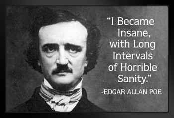 I Became Insane Intervals Horrible Sanity Edgar Allan Poe Famous Motivational Inspirational Quote Art Print Stand or Hang Wood Frame Display Poster Print 13x9