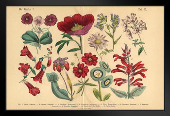Red Exotic Flowers Victorian Botanical Illustration Art Print Stand or Hang Wood Frame Display Poster Print 13x9