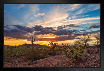 Colorful Sonoran Desert Sunset Saguaro Cactus Photo Photograph Beach Palm Landscape Pictures Ocean Scenic Tropical Nature Photography Paradise Art Print Poster No Glare Wood Frame Display 8x12