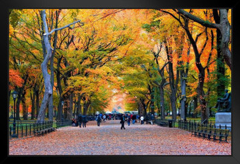 New York City Central Park Walk in the Park Photo Photograph Art Print Stand or Hang Wood Frame Display Poster Print 13x9