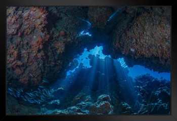 Sea Cave with God Rays Photo Photograph Cool Fish Poster Aquatic Wall Decor Fish Pictures Wall Art Underwater Picture of Fish for Wall Wildlife Reef Poster Stand or Hang Wood Frame Display 9x13
