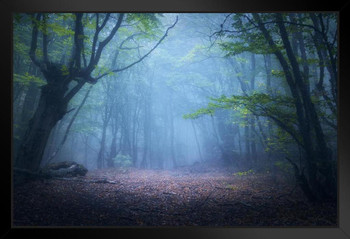 Mystical Morning Foggy Forest Fall Tree Autumn Leaves Photo National Mountain Nature Landscape Park Scenic Scenery Parks Picture America Trees Trail Stand or Hang Wood Frame Display 9x13