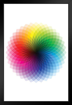 Color Wheel CMYK ROYGBIV Rainbow Spectrum Chart Poster Colorful Reference Black White Stand or Hang Wood Frame Display 9x13
