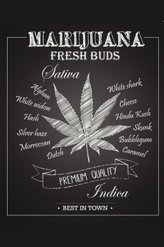 Laminated Marijuana Fresh Buds Premium Quality Chalkboard Art Print Poster Dry Erase Sign 24x36