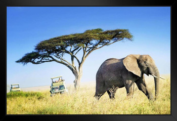 Large African Elephant Against Acacia Tree African Elephant Wall Art Elephant Posters For Wall Elephant Art Print Elephants Wall Decor Photo Of Elephant Tusks Stand or Hang Wood Frame Display 9x13