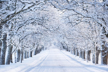 Laminated Winter Pictures Wall Decor Winter Poster Dry Erase Wall Art 36x24