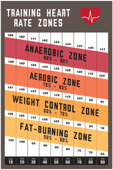 Fitness Heart Rate Chart Variability Training Zones Exercise Poster Workout Gym Aerobic Cardio Heartbeat Running Cool Wall Decor Art Print Poster 12x18
