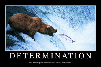 Laminated Determination Bear In Water Catching Fish Funny Demotivational Snarky Sarcastic Ironic Motivational Big Bear Poster Large Bear Picture of a Bear Posters for Wall Poster Dry Erase Sign 12x18