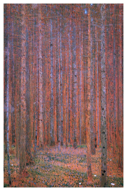 Gustav Klimt Fir Forest Poster Tannenwald Trees Painting 1918 Austrian Symbolist Painter Thick Paper Sign Print Picture 8x12