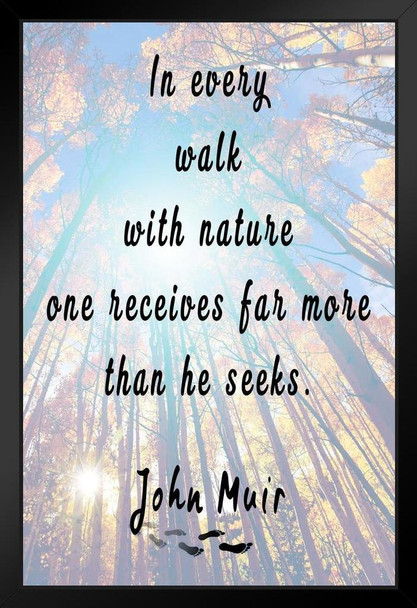 In Every Walk With Nature One Receives Far More Than He Seeks John Muir Famous Motivational Inspirational Quote Art Print Stand or Hang Wood Frame Display Poster Print 9x13