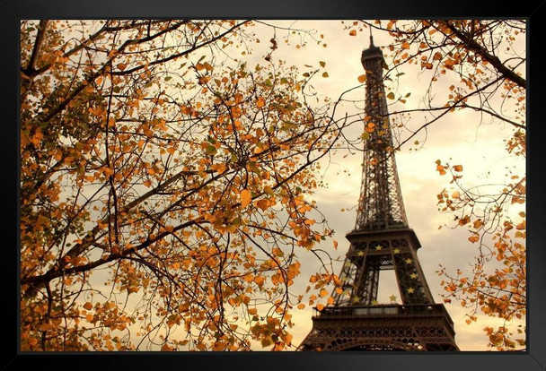 Eiffel Tower Paris France in Autumn Photo Photograph Art Print Stand or Hang Wood Frame Display Poster Print 13x9