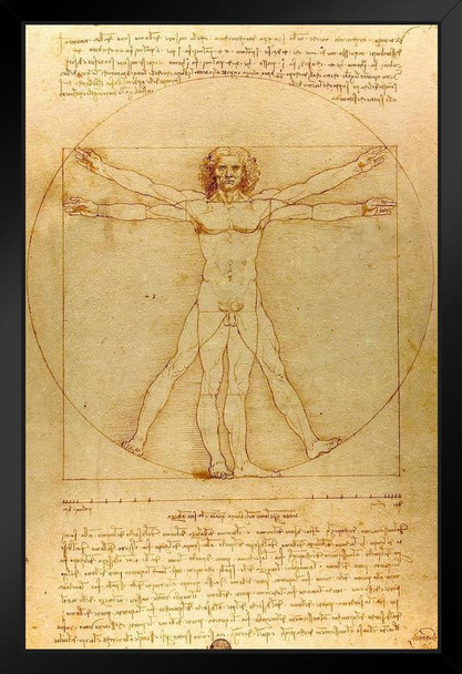 Leonardo Da Vinci Vitruvian Man Poster Drawing Circa 1490 Human Body Sketch Renaissance Italy Stand or Hang Wood Frame Display 9x13