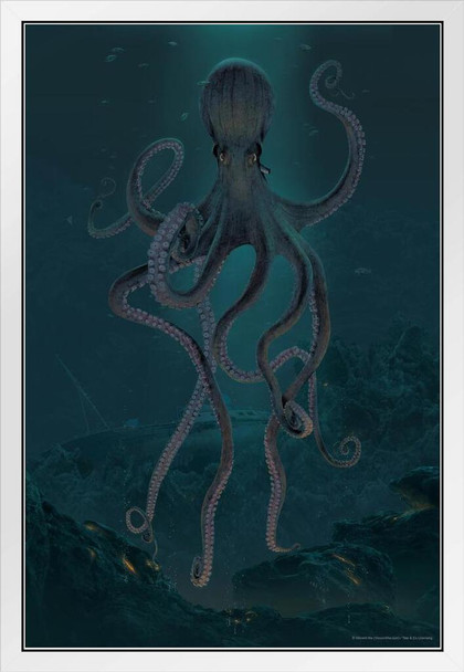 Giant Octopus Sea Depth by Vincent Hie Octopus Wall Decor Octopus Home Decor Sea Prints Wall Art Giant Octopus Decorations Ocean Bathroom Decor and Accessories White Wood Framed Art Poster 14x20