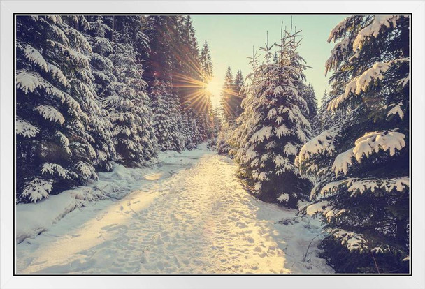 Sun Setting Snowy Mountain Trail Pine Trees Winter Christmas Sunset Photo Landscape Pictures Scenic Scenery Nature Photography Paradise Scenes White Wood Framed Art Poster 20x14