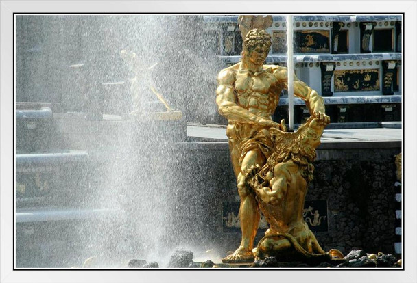 Samson and the Lion Fountain Peterhof Palace St Petersburg Russia Photo Photograph White Wood Framed Poster 14x20