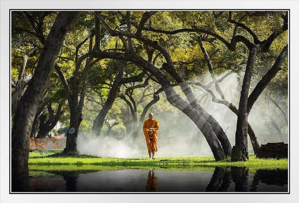 The Morning Walk Buddhist Monk Praying Walking Photo Photograph White Wood Framed Poster 20x14