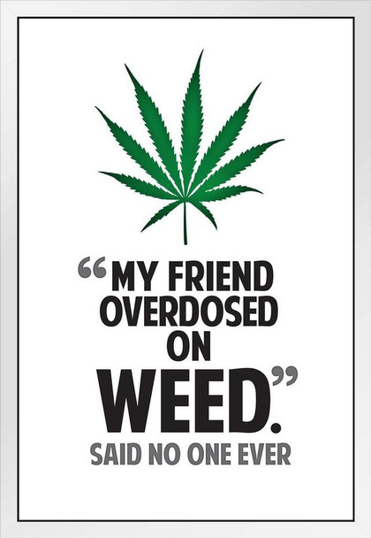 Marijuana My Friend Overdosed On Weed Said No One Ever College Humor White Wood Framed Poster 14x20