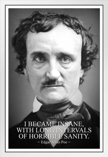 I Became Insane With Intervals of Horrible Sanity Edgar Allan Poe White Wood Framed Poster 14x20