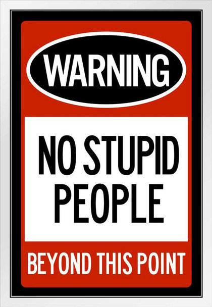 Warning No Stupid People Beyond This Point White Wood Framed Poster 14x20