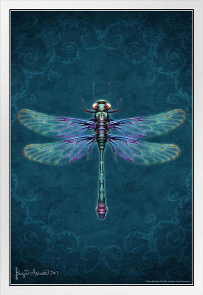 Damask Dragonfly by Brigid Ashwood Insect Wall Art Dragonfly Print Dragonfly Pictures Wall Decor Insect Art Dragonfly Decor White Wood Framed Art Poster 14x20