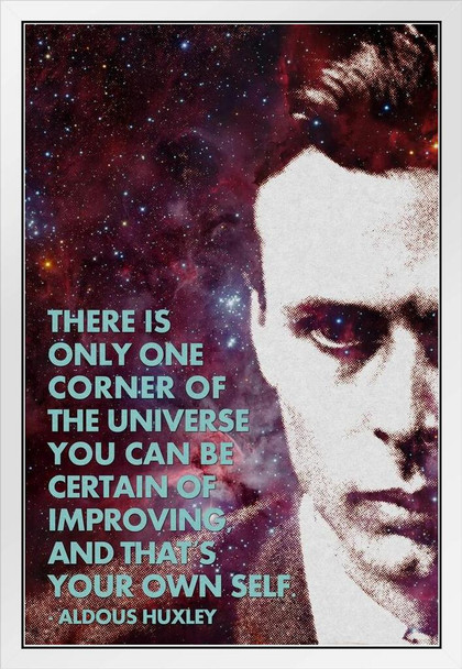 One Corner of the Universe You Can Improve Aldous Huxley Color Famous Motivational Inspirational Quote Teamwork Inspire Quotation Gratitude Positivity Motivate White Wood Framed Art Poster 14x20