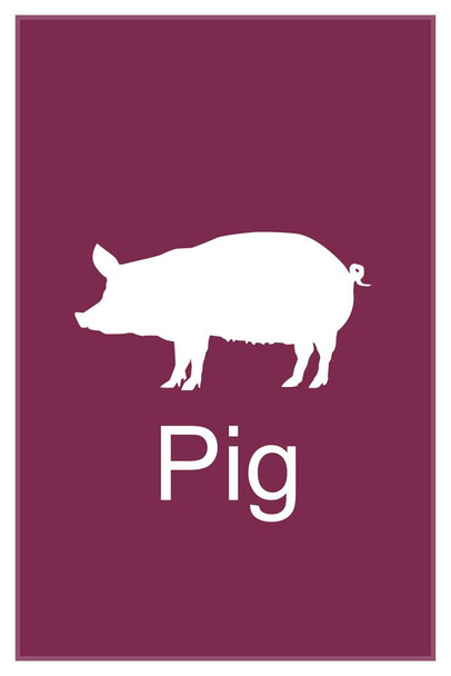 Farm Animals Pig Silhouette Classroom Learning Aids Barnyard Farming Purple Thick Paper Sign Print Picture 8x12