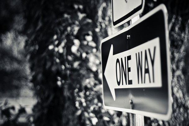 One Way Black and White B&W Directional Sign Photo Photograph Thick Paper Sign Print Picture 12x8