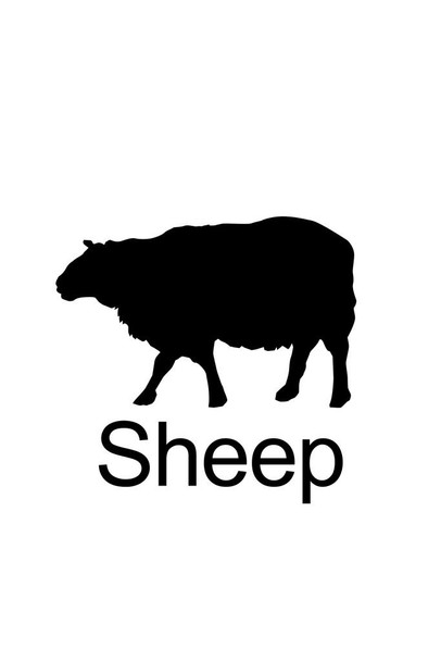 Farm Animals Sheep Silhouettes Classroom Learning Aids Barnyard Farming White Thick Paper Sign Print Picture 8x12